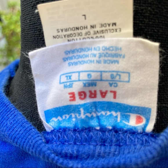 Champion unisex T-shirt, size L , Cobalt Blue - Picture 5 of 6